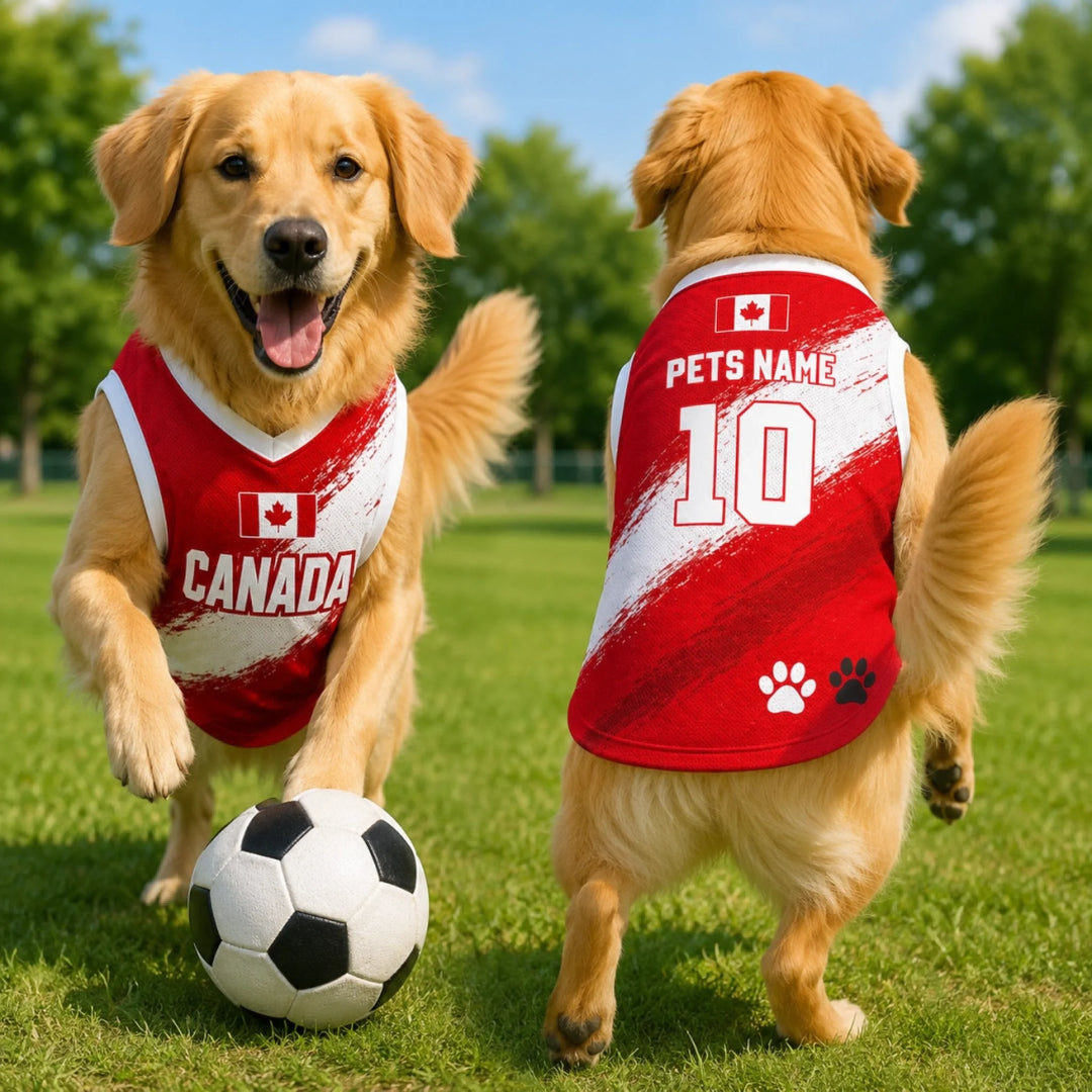 Custom World Soccer Pet Jersey - Personalized Gifts For Sport Fans and Pet Lovers (2)
