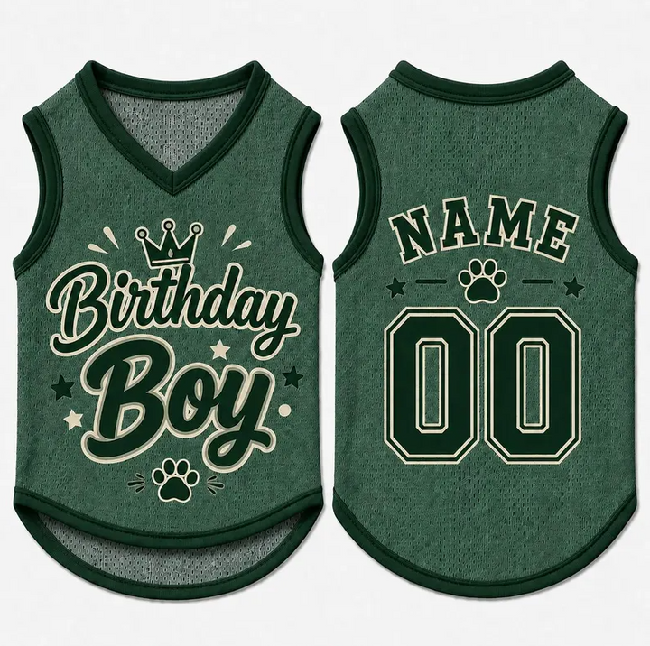 Birthday Boy Dog Shirt, Personalized Pet Jersey, Custom Name Number Dog Cat Clothes, Adorable Pet Birthday Outfit, Cute Dog Cat Jersey Shirt