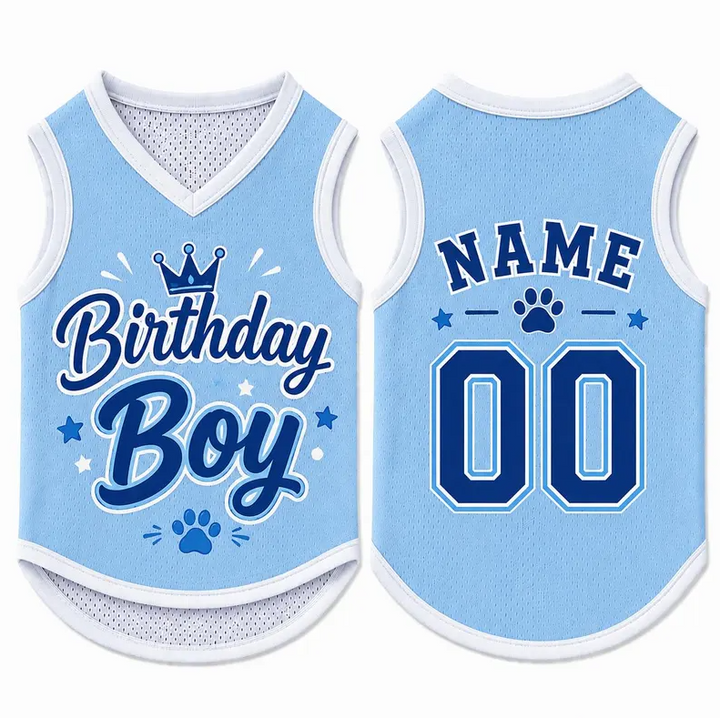 Birthday Boy Dog Shirt, Personalized Pet Jersey, Custom Name Number Dog Cat Clothes, Adorable Pet Birthday Outfit, Cute Dog Cat Jersey Shirt