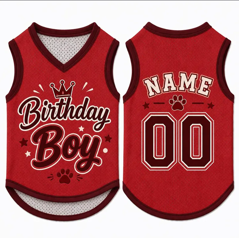 Birthday Boy Dog Shirt, Personalized Pet Jersey, Custom Name Number Dog Cat Clothes, Adorable Pet Birthday Outfit, Cute Dog Cat Jersey Shirt