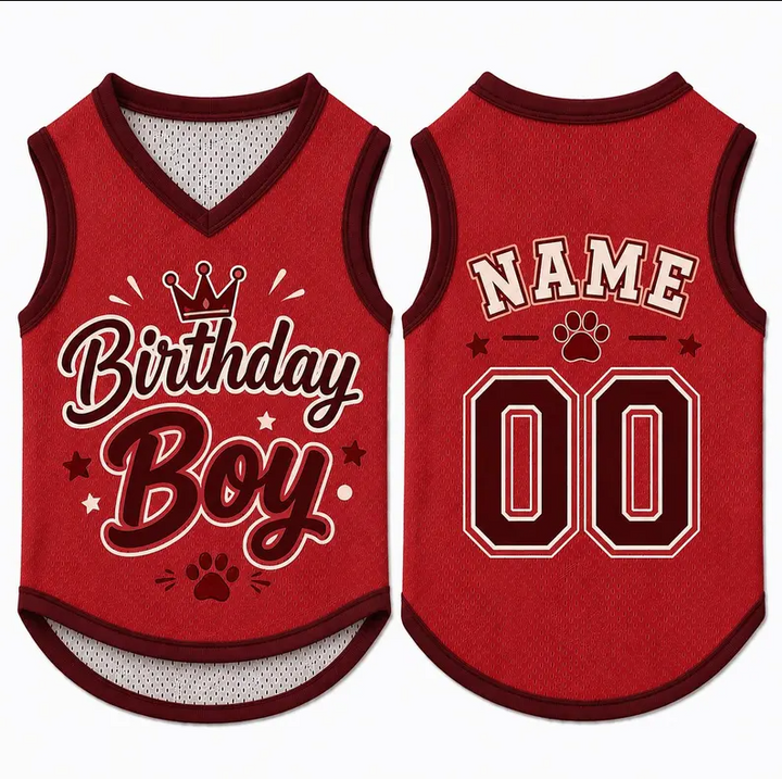 Birthday Boy Dog Shirt, Personalized Pet Jersey, Custom Name Number Dog Cat Clothes, Adorable Pet Birthday Outfit, Cute Dog Cat Jersey Shirt