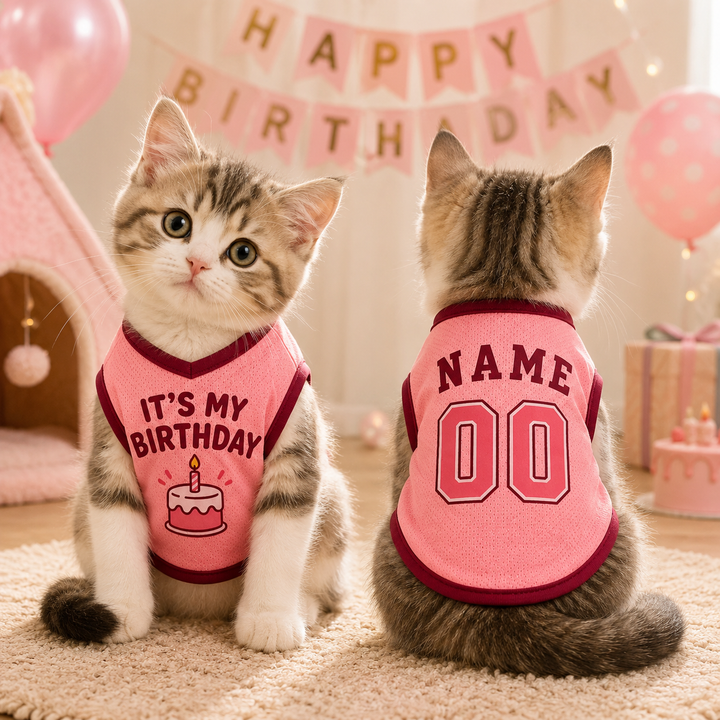 Custom Dog Birthday Jersey, Personalized Pet Birthday Shirt, It's My Birthday Dog Outfit, Name Number Pet Clothing, Birthday Pet Shirt