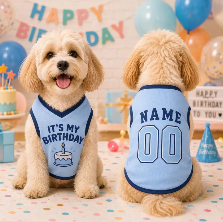 Custom Dog Birthday Jersey, Personalized Pet Birthday Shirt, It's My Birthday Dog Outfit, Name Number Pet Clothing, Birthday Pet Shirt