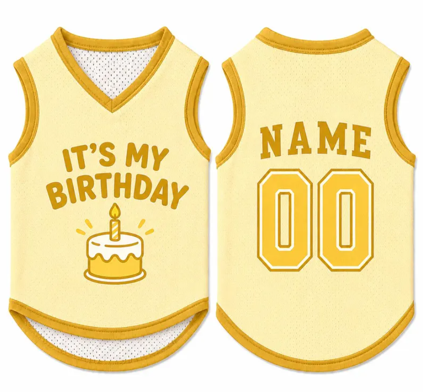Custom Dog Birthday Jersey, Personalized Pet Birthday Shirt, It's My Birthday Dog Outfit, Name Number Pet Clothing, Birthday Pet Shirt