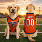 Custom Dog Football Jersey Personalized Pet Sports Shirt with Name & Number, Sleeveless V Neck Dog Jersey, Custom Puppy Game Day Apparel