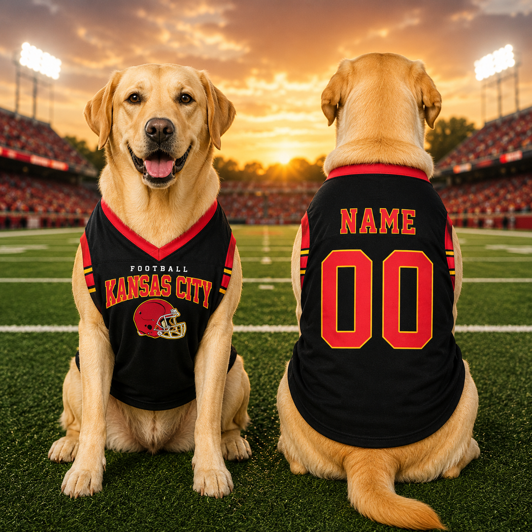 Custom Dog Football Jersey Personalized Pet Sports Shirt with Name & Number, Sleeveless V Neck Dog Jersey, Puppy Game Day Apparel
