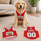 Custom Jersey for Dogs and Cats, Personalized Pet Shirt with Name and Number, Red Athletic Pet Outfit, Heat Press Football Dog Clothes
