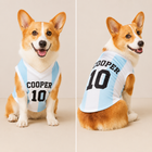 Custom Name Jersey for Pet, Name Number Printed DogCat Shirt, Puppy Clothing, Dog Outfit, Dog Tee Gift for Football LoversSports Fans