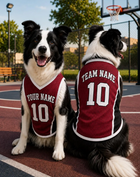 Custom Pet Basketball Jersey, Personalized Dog Cat Shirt, Name and Number Sports Outfit for Dog, Basketball Jersey for Pet Birthday Gift