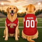 Custom Pet Football Shirt, Personalized Dog Sports Jersey, Name Number Puppy Apparel, Dog Lover Gift
