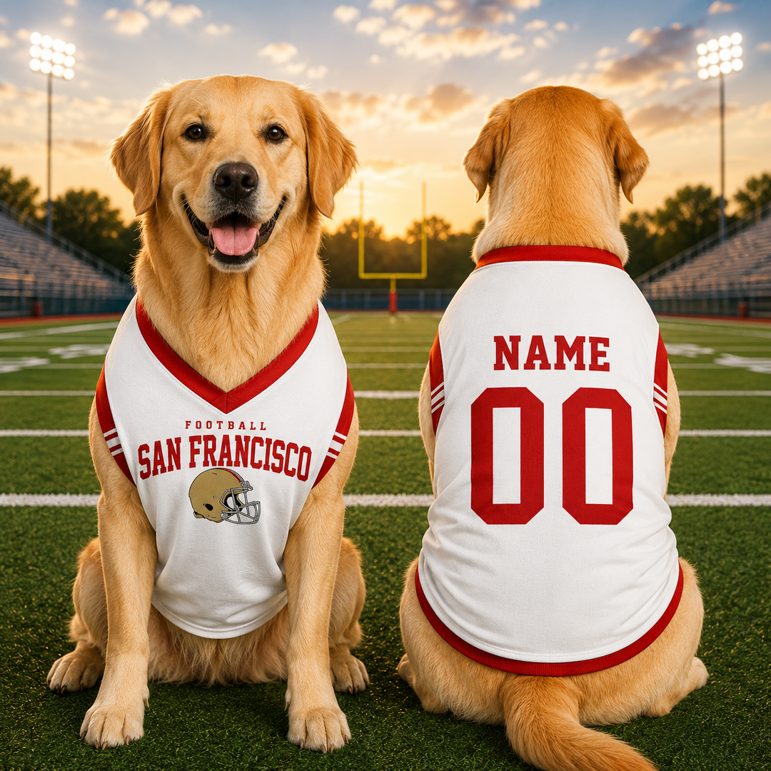 Custom Pet Football Shirt, Personalized Dog Sports Jersey, Name Number Puppy Apparel, Dog Lover Gift