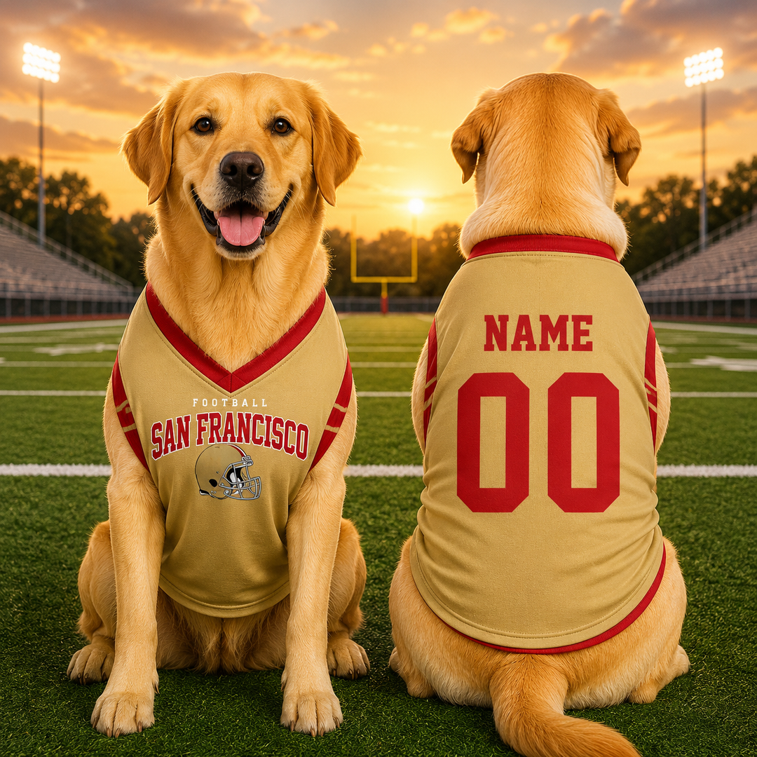 Custom Pet Football Shirt, Personalized Dog Sports Jersey, Name Number Puppy Apparel, Dog Lover Gift