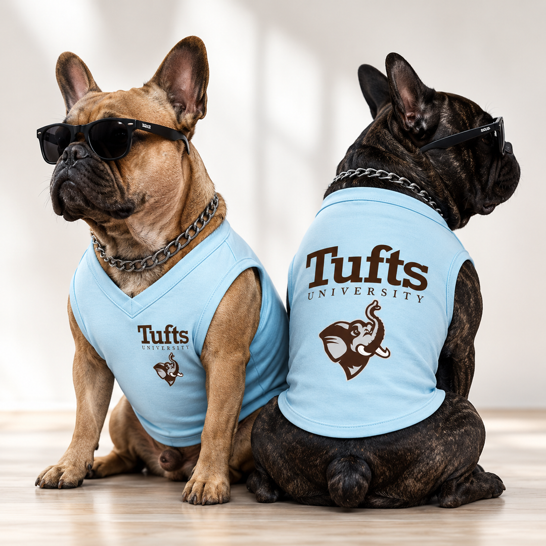 Custom V-Neck Dog Shirt | Personalized Pet Clothing with Logo, Graphics, Pictures & Dog Name , Unique Gift for Dog Lovers