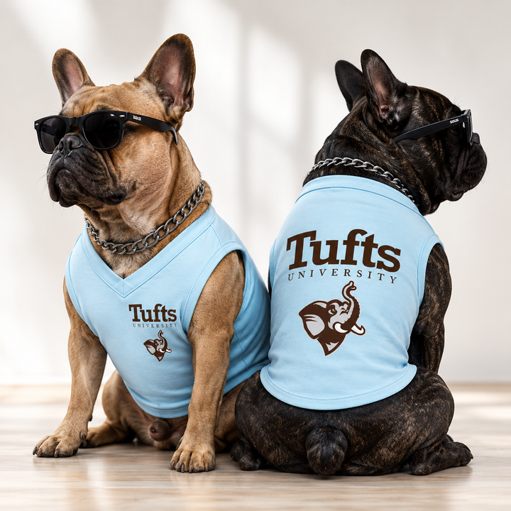 Custom V-Neck Dog Shirt | Personalized Pet Clothing with Logo, Graphics, Pictures & Dog Name , Unique Gift for Dog Lovers
