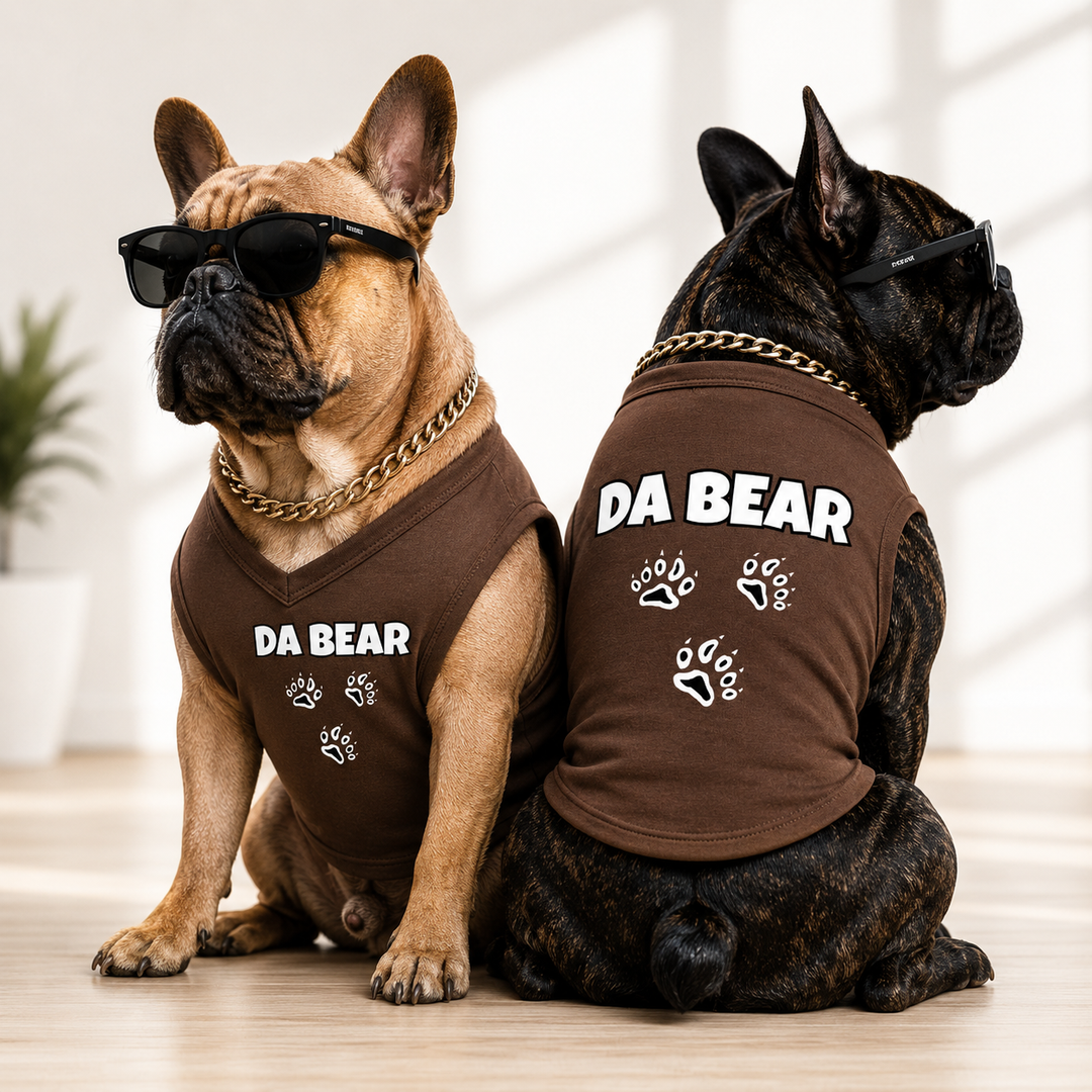 Custom V-Neck Dog Shirt | Personalized Pet Clothing with Logo, Graphics, Pictures & Dog Name , Unique Gift for Dog Lovers