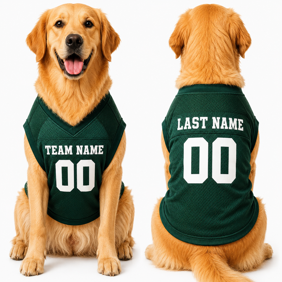 Personalized Dog Football Jersey, Custom Pet Jersey with Name & Number, Sports Team Dog Shirt, Football Dog Apparel, Game Day Pet Outfit