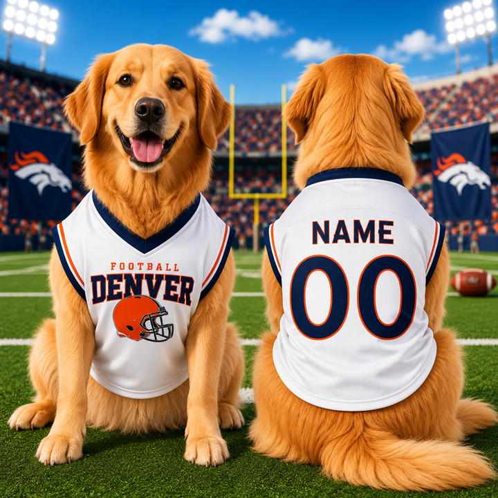Personalized Dog Football Jersey with Name & Number, Custom Pet Sports Shirt, Orange White Dog Jersey, Game Day Dog Outfit