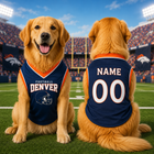 Personalized Dog Football Jersey with Name & Number, Custom Pet Sports Shirt, Orange White Dog Jersey, Game Day Dog Outfit