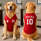 Personalized Dog Jersey Custom Pet Sports Shirt with Name & Number, Dog Football Jersey, Custom Puppy Jersey, Pet Team Apparel