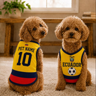 Personalized Ecuador Pet Soccer Jersey, Soccer Outfit for Dogs Cats, Ecuador Football Shirt, Cute Puppy Sportswear