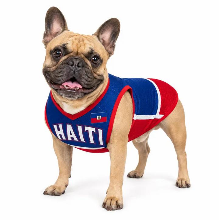 Personalized Haiti Pet ersey - Custom Name Number Soccer Jersey For Dog, Cat - Football Fan Shirt