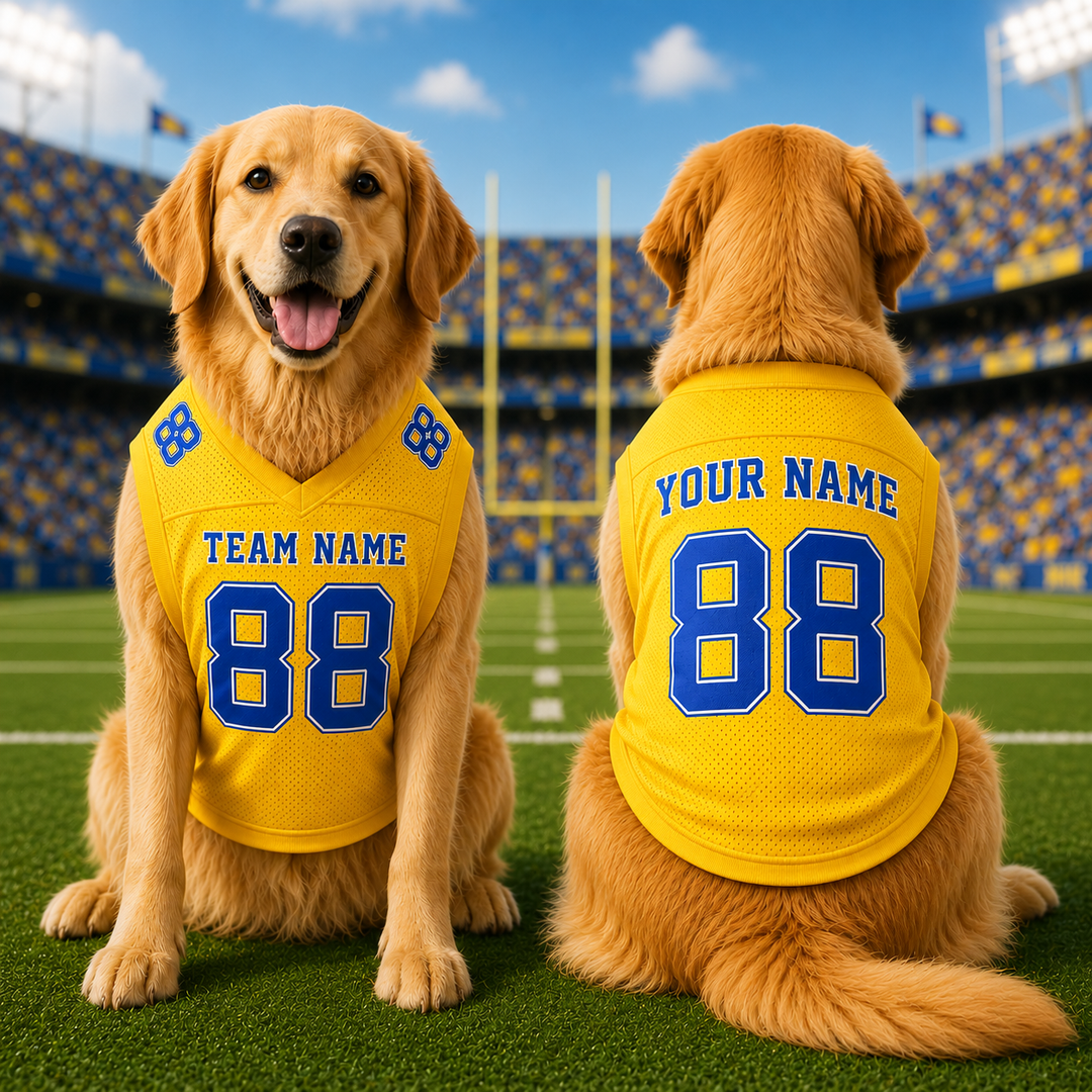 Personalized Pet Football Jersey, Custom Dog Jersey, Dog Shirt with Pet Name and Number, Football Fan Pet Apparel Gift