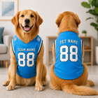 Personalized Pet Football Jersey, Custom Dog Jersey, Dog Shirt with Pet Name and Number, Football Fan Pet Apparel Gift