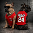 Personalized Pet Jersey Shirt, Custom Dog Name Number Tee, Dog Sports Outfit, Custom Puppy Shirt, Dog Birthday Gift