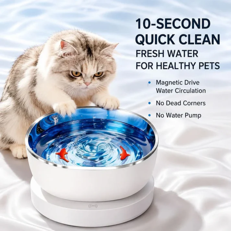 Why Cat Parents Switched To PawzLuxe